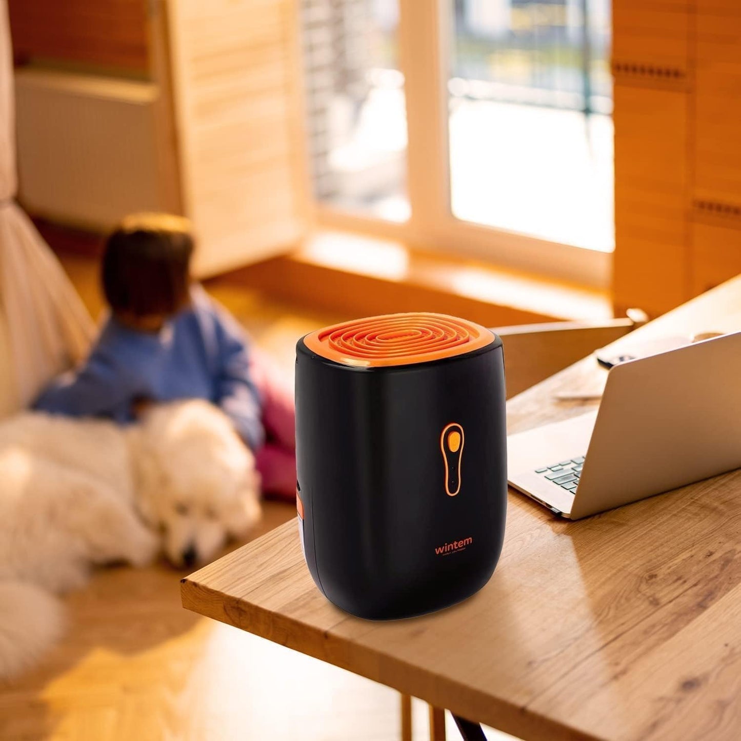 Déshumidificateur et Purificateur d'Air Compact et Silencieux - Air pur