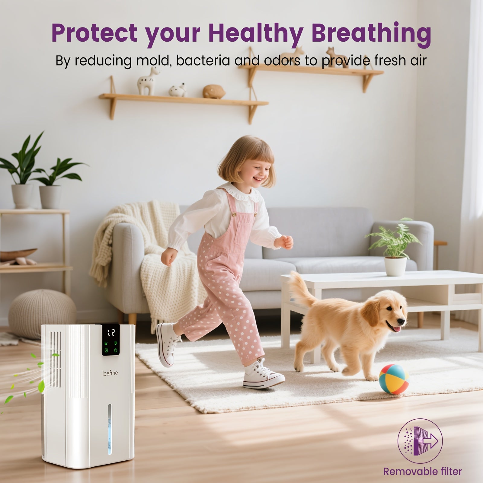 Loefme Electric Dehumidifier, 2800ml, Quiet Dehumidifier for Home, Small Dehumidifier with Function Defrosting & Sleep Mode, Timing function, for Bathrooms, Kitchens, Living Areas, Dehumidifiers for Basement, Dehumidifier for - Air pur
