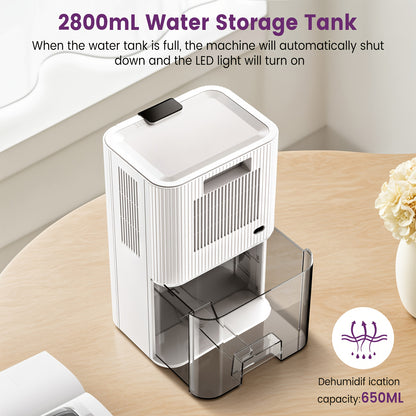 Loefme Electric Dehumidifier, 2800ml, Quiet Dehumidifier for Home, Small Dehumidifier with Function Defrosting & Sleep Mode, Timing function, for Bathrooms, Kitchens, Living Areas, Dehumidifiers for Basement, Dehumidifier for - Air pur