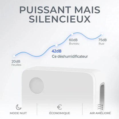 Déshumidificateur d'Air Silencieux et Puissant - Chambre et Salle de bain - Air pur