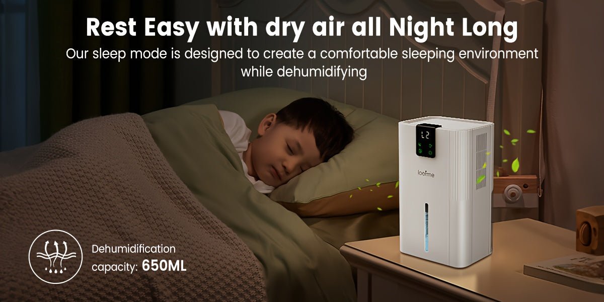 Loefme Electric Dehumidifier, 2800ml, Quiet Dehumidifier for Home, Small Dehumidifier with Function Defrosting & Sleep Mode, Timing function, for Bathrooms, Kitchens, Living Areas, Dehumidifiers for Basement, Dehumidifier for - Air pur